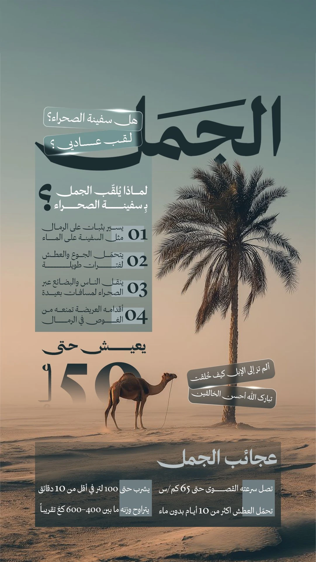 مرجع بصري في انفوجرافيك، جرافيك على لمحة