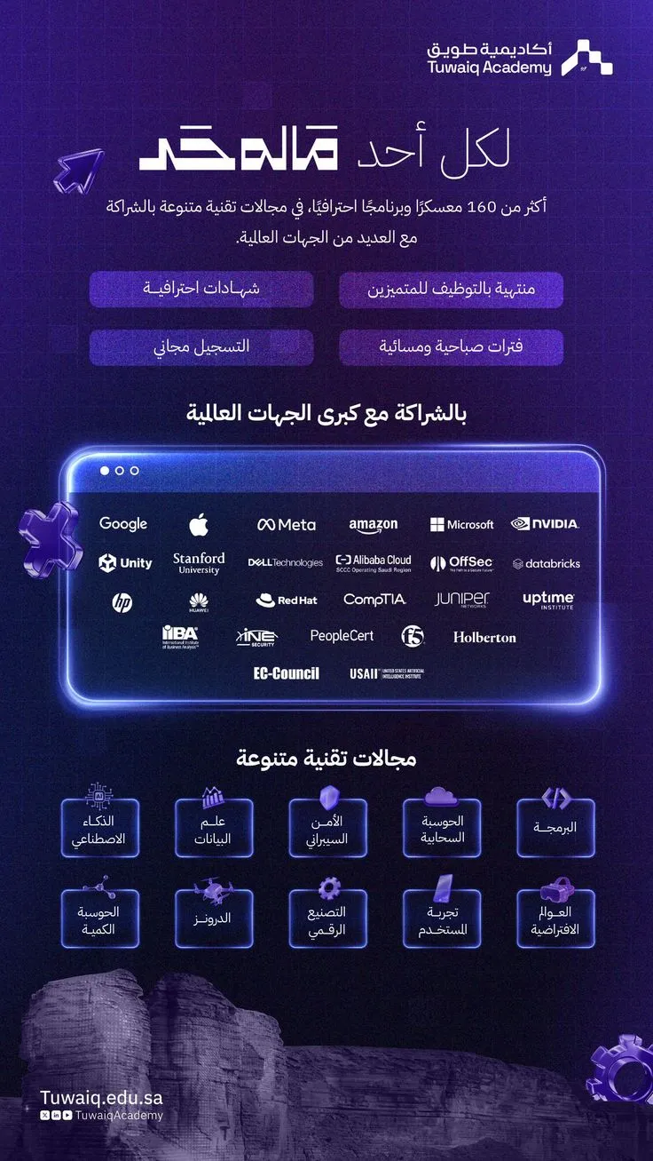 انفوجرافيك، جرافيك