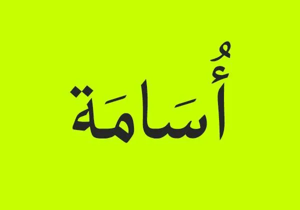 مرجع بصري في خطوط على لمحة
