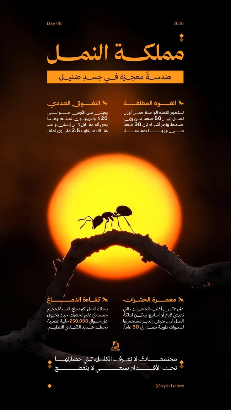 مرجع بصري في انفوجرافيك، جرافيك على لمحة