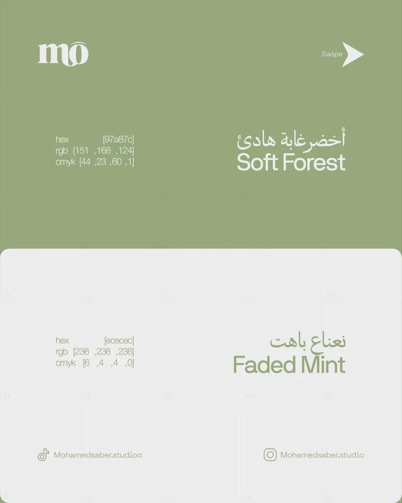 تنسيقات ألوان — تصميم #2388