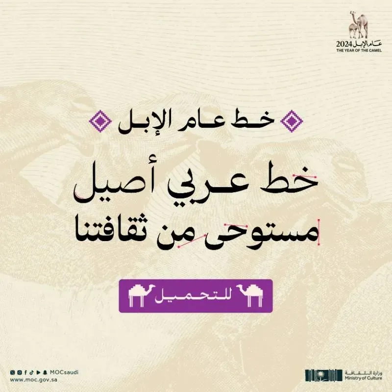 خطوط — تصميم #3028